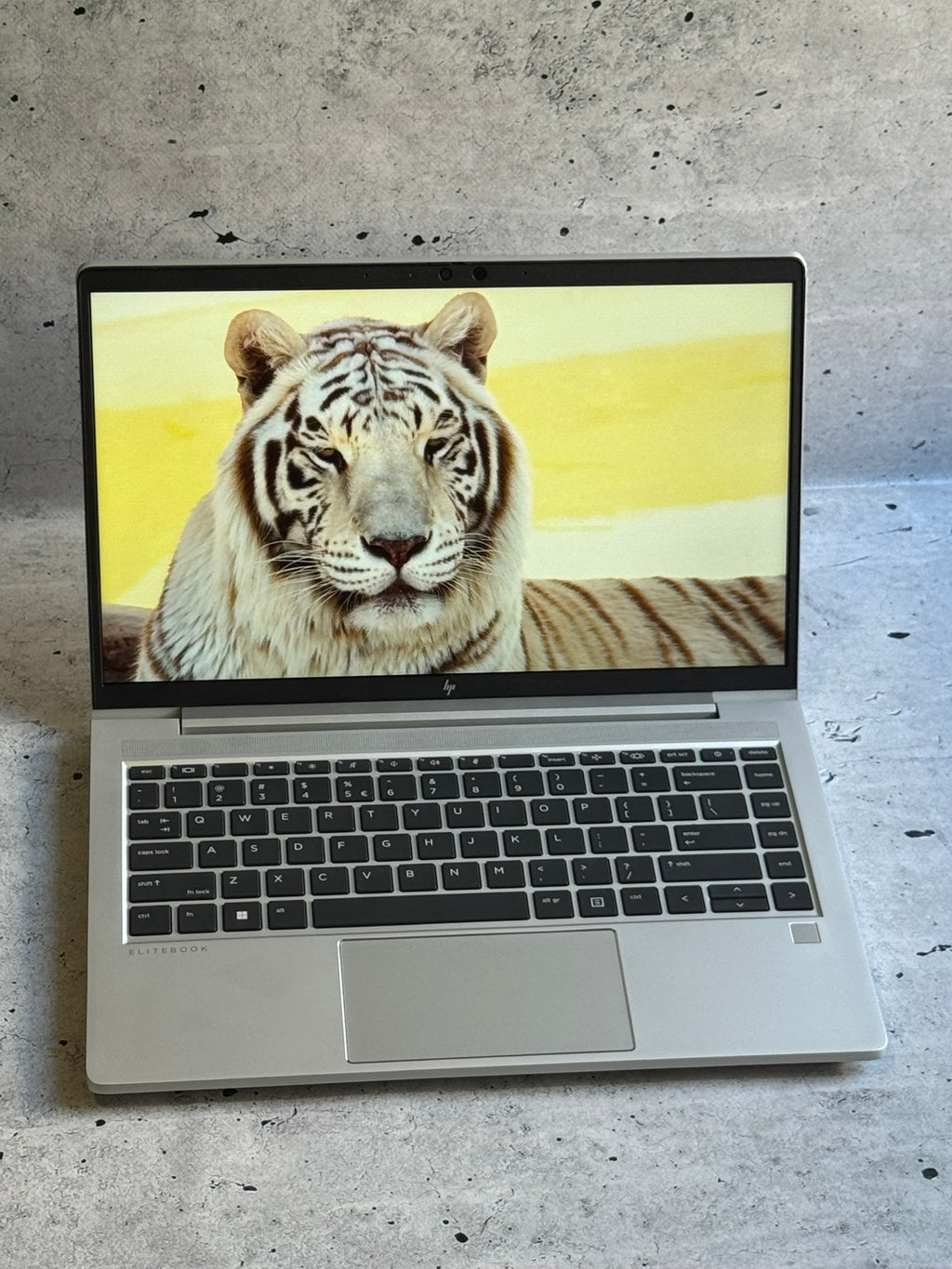 HP Elitebook 645 G10/14.0 IPS/AMD RYZEN 5-7530U/16GB/256GB
