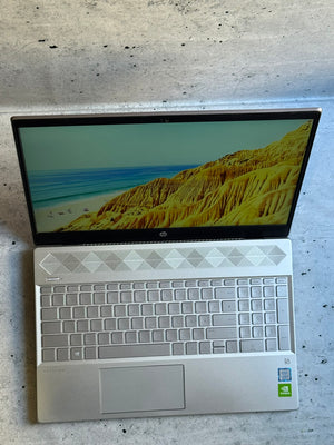 HP/15.6 FHD IPS/I5-8265U/16GB/512GB/Nvidia MX250 2GB DDR5