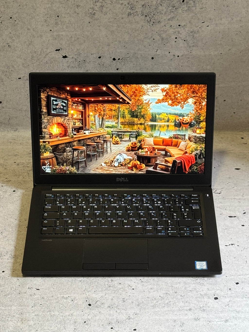 DELL Latitude 7280/12.5" FHD IPS/I7-7600U/16G/M.2 512/Bat 6h