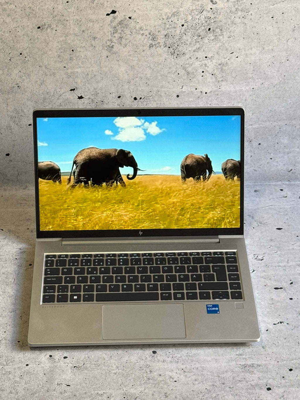 HP Elitebook 640 G10/14.0 IPS/INTEL I5-1335U/32GB/SSD 512GB