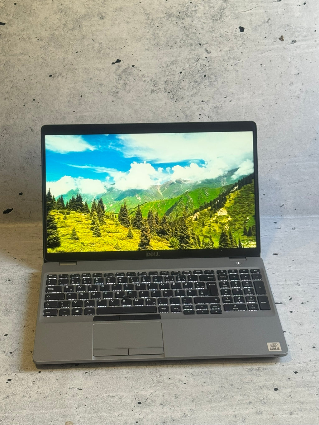 DELL PRECISION 3551/15.6 IPS/I5-10300H/32GB/QUADRO P620